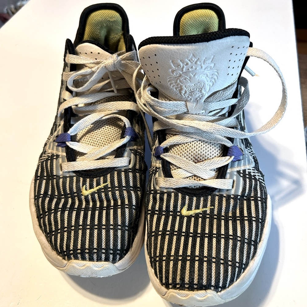 Nike LeBron Witness vi